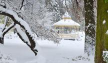 Winter in Novi Sad